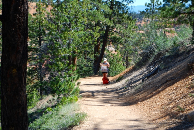 Photo from Fairyland Loop Trail at Bryce Canyon